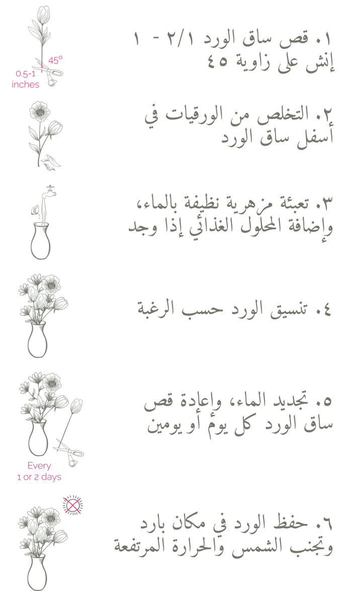 instruction-ar